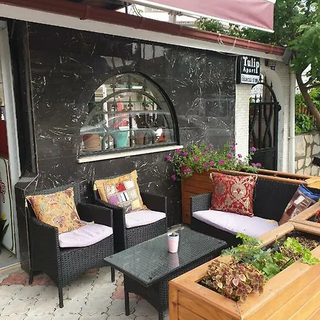 Tulip 4* داليان
