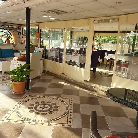 Tulip 4* داليان